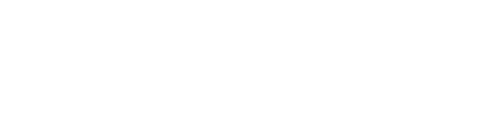 Authentic Performance Consulting